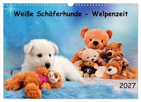 Weiße Schäferhunde - Welpenzeit (Wandkalender 2027 DIN A3 quer), CALVENDO Monatskalender
