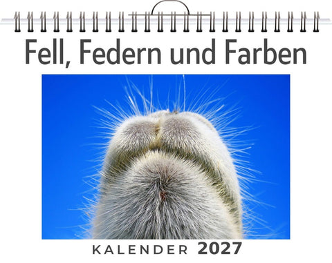 Fell, Federn und Farben