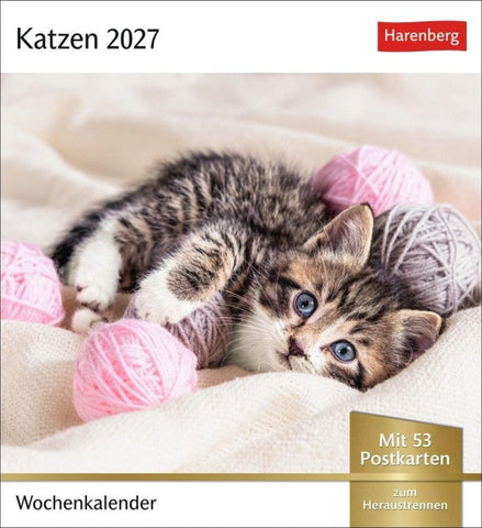 Katzen Postkartenkalender 2027 - Wochenkalender mit 53 Postkarten