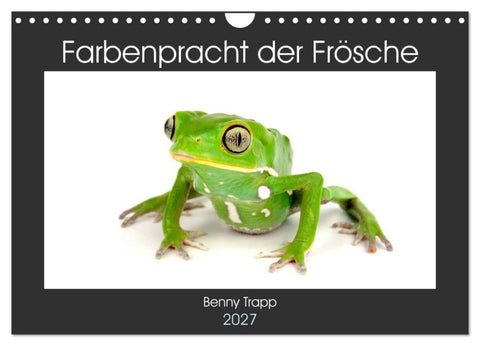 Farbenpracht der Frösche (Wandkalender 2027 DIN A4 quer), CALVENDO Monatskalender