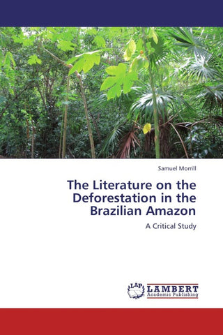 The Literature on the Deforestation in the Brazilian Amazon