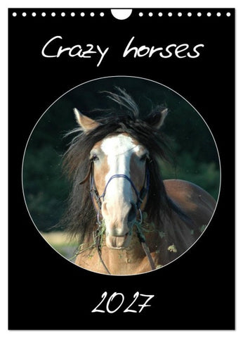 Crazy horses (Wandkalender 2027 DIN A4 hoch), CALVENDO Monatskalender