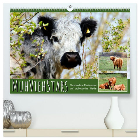 MuhViehStars (hochwertiger Premium Wandkalender 2027 DIN A2 quer), Kunstdruck in Hochglanz