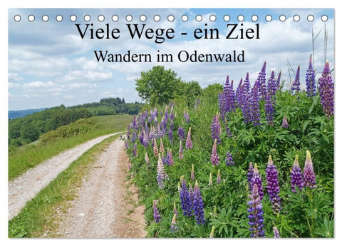 Viele Wege - ein Ziel Wandern im Odenwald (Tischkalender 2027 DIN A5 quer), CALVENDO Monatskalender