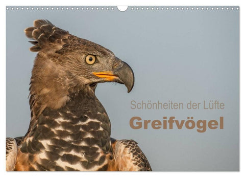 Schönheiten der Lüfte - Greifvögel (Wandkalender 2027 DIN A3 quer), CALVENDO Monatskalender