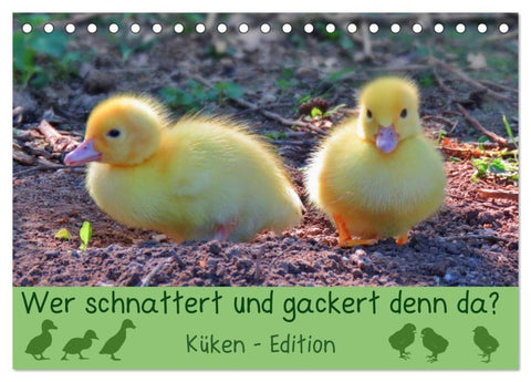 Wer schnattert und gackert denn da? - Küken-Edition (Tischkalender 2027 DIN A5 quer), CALVENDO Monatskalender