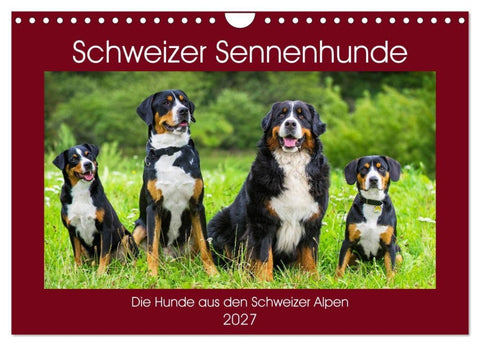 Schweizer Sennenhunde - die Hunde aus den Schweizer Alpen (Wandkalender 2027 DIN A4 quer), CALVENDO Monatskalender