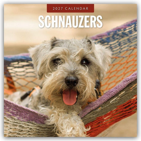 Schnauzer 2027 – 16-Monatskalender