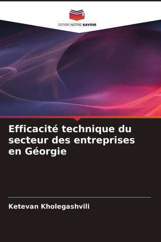 Efficacité technique du secteur des entreprises en Géorgie