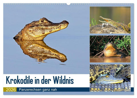 Krokodile in der Wildnis (Wandkalender 2026 DIN A2 quer), CALVENDO Monatskalender