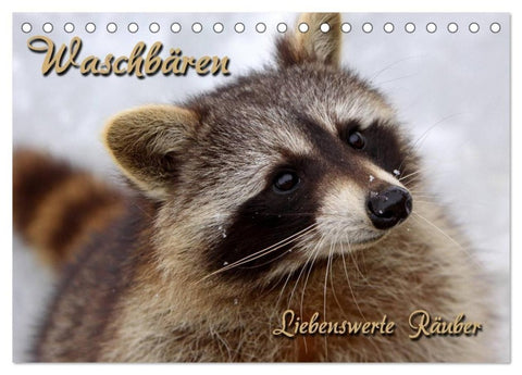 Waschbären (Tischkalender 2027 DIN A5 quer), CALVENDO Monatskalender