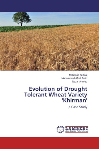 Evolution of Drought Tolerant Wheat Variety 'Khirman'