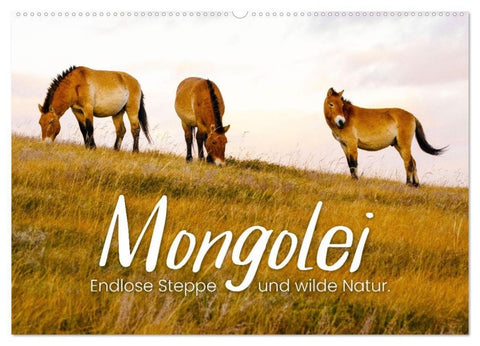 Mongolei - Endlose Steppe und wilde Natur. (Wandkalender 2027 DIN A2 quer), CALVENDO Monatskalender