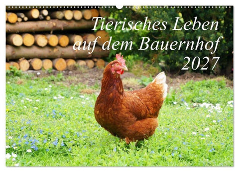 Tierisches Leben auf dem Bauernhof 2027 (Wandkalender 2027 DIN A2 quer), CALVENDO Monatskalender