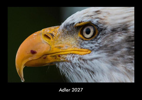 Adler 2027 Fotokalender DIN A3