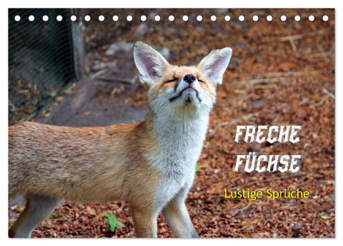 Freche Füchse - lustige Sprüche (Tischkalender 2026 DIN A5 quer), CALVENDO Monatskalender