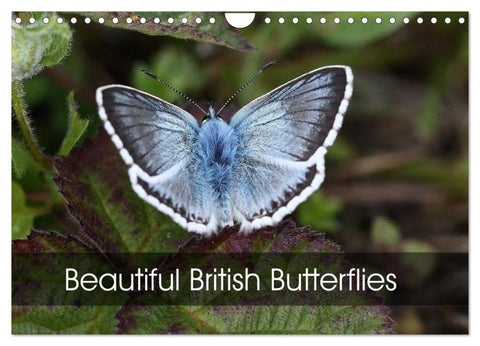 Beautiful British Butterflies (Wall Calendar 2026 DIN A4 landscape), CALVENDO 12 Month Wall Calendar