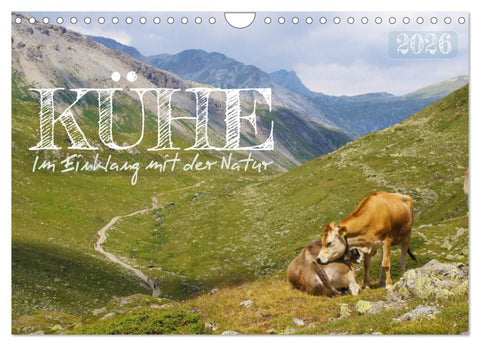 Kühe im Einklang mit der Natur (Wandkalender 2026 DIN A4 quer), CALVENDO Monatskalender