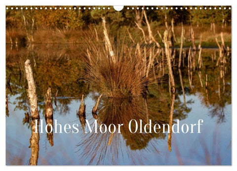 Hohes Moor Oldendorf (Wandkalender 2027 DIN A3 quer), CALVENDO Monatskalender