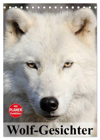 Wolf-Gesichter (Tischkalender 2026 DIN A5 hoch), CALVENDO Monatskalender
