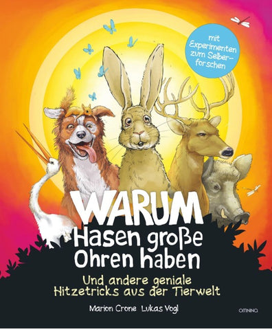 Warum Hasen große Ohren haben