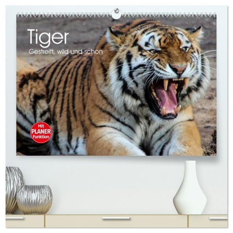 Tiger. Gestreift, wild und schön (hochwertiger Premium Wandkalender 2026 DIN A2 quer), Kunstdruck in Hochglanz
