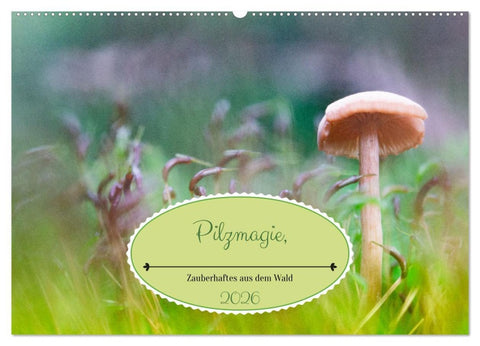 Pilzmagie (Wandkalender 2026 DIN A2 quer), CALVENDO Monatskalender