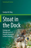 Stoat in the Dock