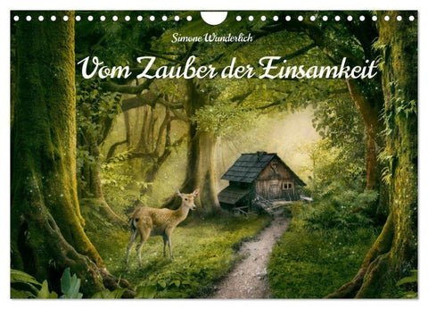 Vom Zauber der Einsamkeit (Wandkalender 2027 DIN A4 quer), CALVENDO Monatskalender