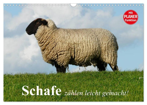 Schafe zählen leicht gemacht! (Wandkalender 2026 DIN A3 quer), CALVENDO Monatskalender