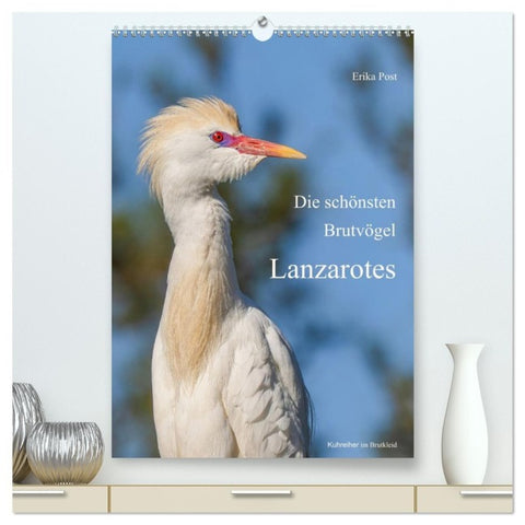 Die schönsten Brutvögel Lanzarotes (hochwertiger Premium Wandkalender 2027 DIN A2 hoch), Kunstdruck in Hochglanz