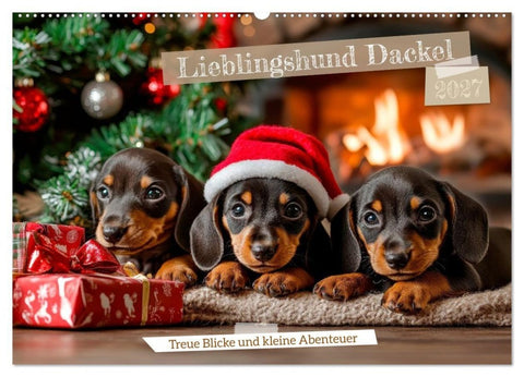 Lieblingshund Dackel (Wandkalender 2027 DIN A2 quer), CALVENDO Monatskalender
