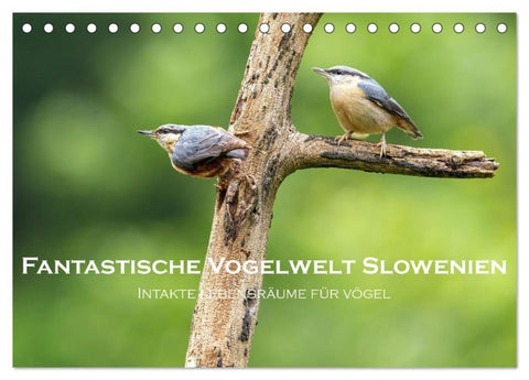 Fantastische Vogelwelt Slowenien (Tischkalender 2027 DIN A5 quer), CALVENDO Monatskalender