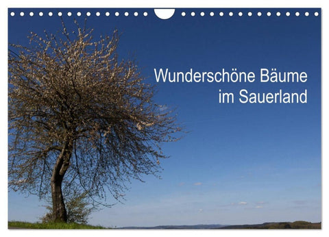 Wunderschöne Bäume im Sauerland (Wandkalender 2027 DIN A4 quer), CALVENDO Monatskalender
