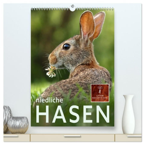 Niedliche Hasen (hochwertiger Premium Wandkalender 2027 DIN A2 hoch), Kunstdruck in Hochglanz