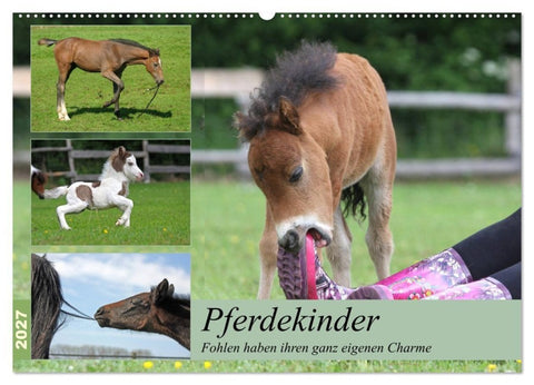 Pferdekinder - Fohlen haben ihren ganz eigenen Charme (Wandkalender 2027 DIN A2 quer), CALVENDO Monatskalender