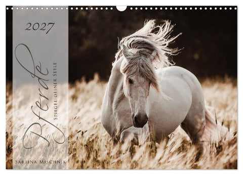 Pferde - Spiegel deiner Seele (Wandkalender 2027 DIN A3 quer), CALVENDO Monatskalender