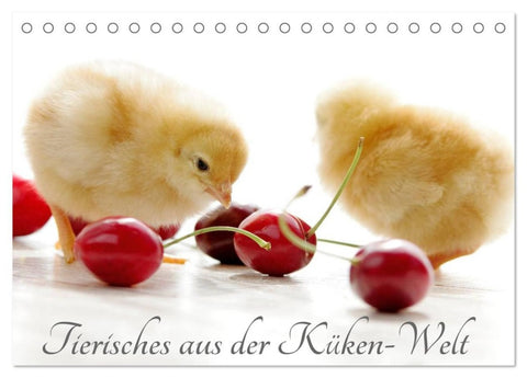 Tierisches aus der Küken-Welt (Tischkalender 2026 DIN A5 quer), CALVENDO Monatskalender