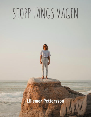 Stopp Längs Vägen
