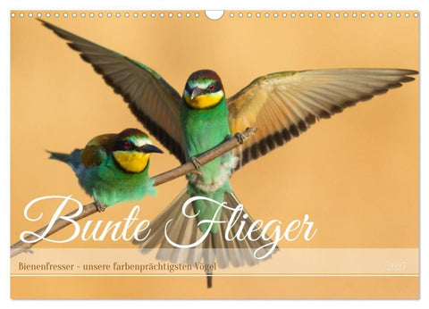Bunte Flieger (Wandkalender 2027 DIN A3 quer), CALVENDO Monatskalender
