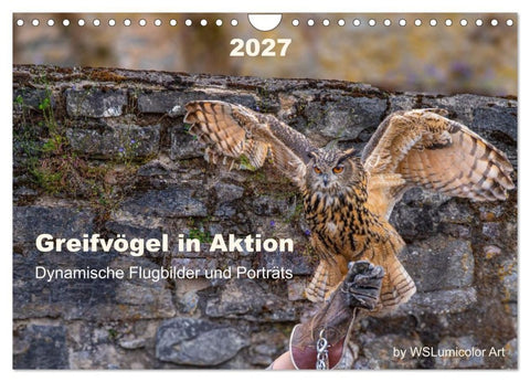 Greifvögel in Aktion - Dynamische Flugbilder und Porträts (Wandkalender 2027 DIN A4 quer), CALVENDO Monatskalender