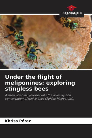 Under the flight of meliponines: exploring stingless bees