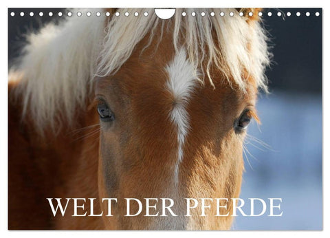 Welt der Pferde (Wandkalender 2026 DIN A4 quer), CALVENDO Monatskalender