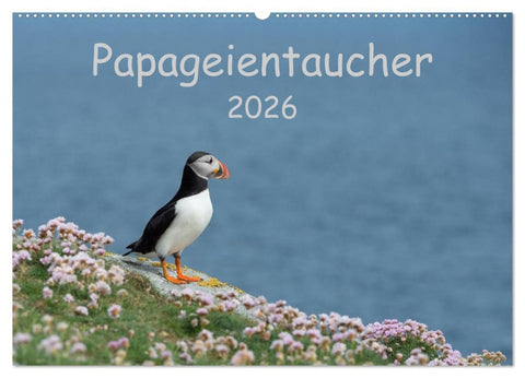 Papageientaucher 2026 (Wandkalender 2026 DIN A2 quer), CALVENDO Monatskalender