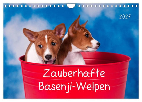 Zauberhafte Basenji-Welpen (Wandkalender 2027 DIN A4 quer), CALVENDO Monatskalender