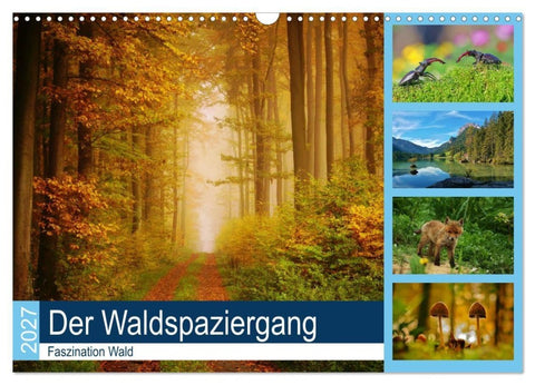 Der Waldspaziergang (Wandkalender 2027 DIN A3 quer), CALVENDO Monatskalender