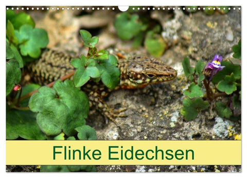 Flinke Eidechsen (Wandkalender 2027 DIN A3 quer), CALVENDO Monatskalender
