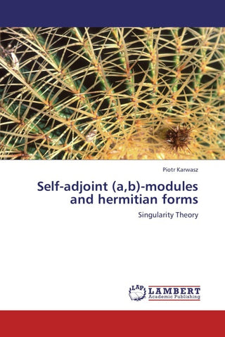 Self-adjoint (a,b)-modules and hermitian forms