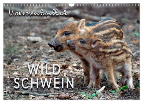 Unverwechselbar - Wildschwein (Wandkalender 2027 DIN A3 quer), CALVENDO Monatskalender