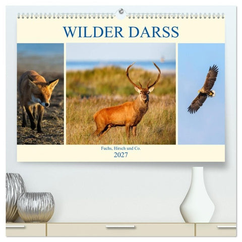 Wilder Darß - Fuchs, Hirsch und Co. 2027 (hochwertiger Premium Wandkalender 2027 DIN A2 quer), Kunstdruck in Hochglanz
